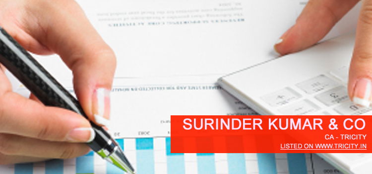 Surinder Kumar & Co Chandigarh