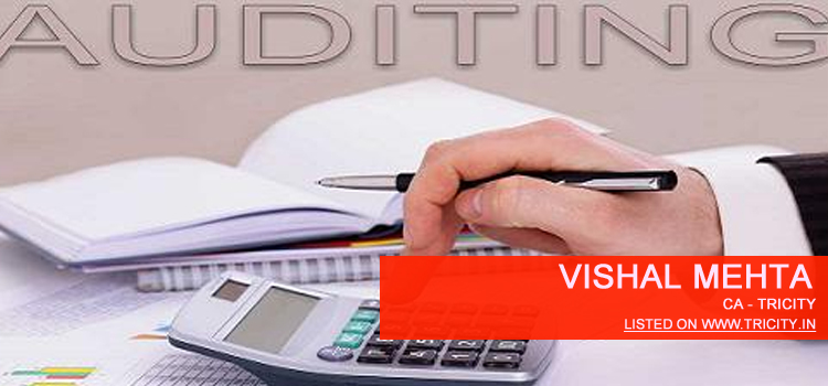Vishal Mehta Chandigarh