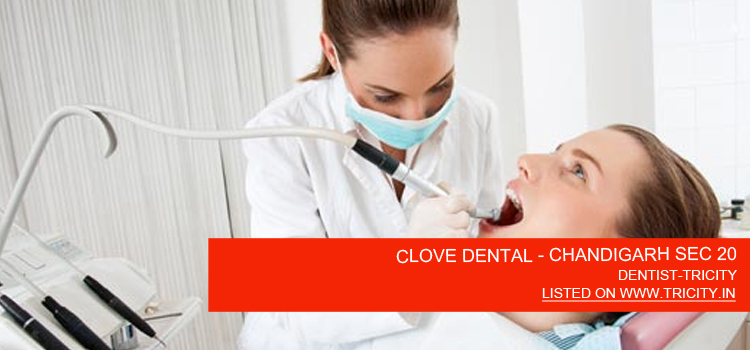 CLOVE DENTAL - CHANDIGARH SEC 20