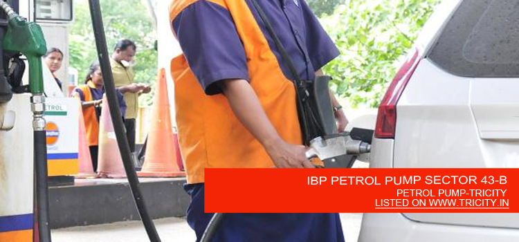 Himalaya Marg, 43B, Sector 43, Chandigarh,