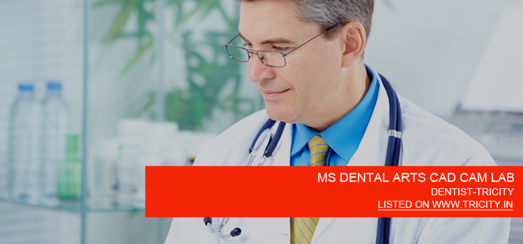 MS DENTAL ARTS CAD CAM LAB