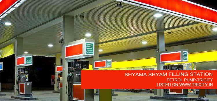 SHYAMA SHYAM FILLING STATION