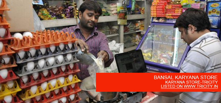 BANSAL KARYANA STORE