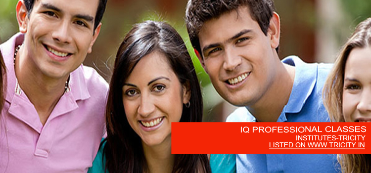 IQ-PROFESSIONAL-CLASSES