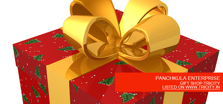 PANCHKULA ENTERPRISE