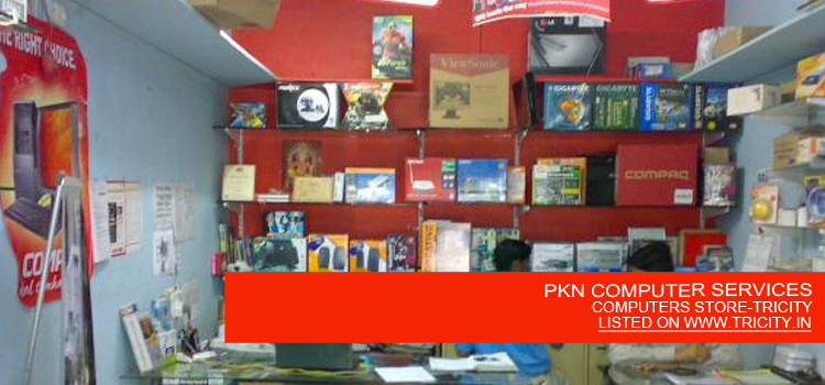PKN COMPUTER SERVICES