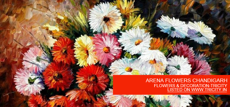ARENA FLOWERS CHANDIGARH