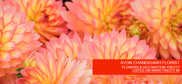 AVON CHANDIGARH FLORIST