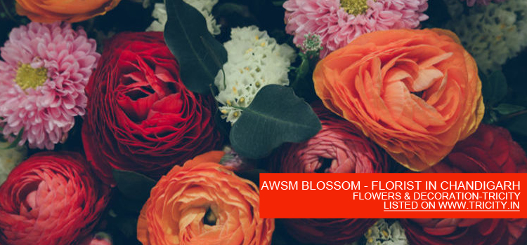 AWSM BLOSSOM - FLORIST IN CHANDIGARH