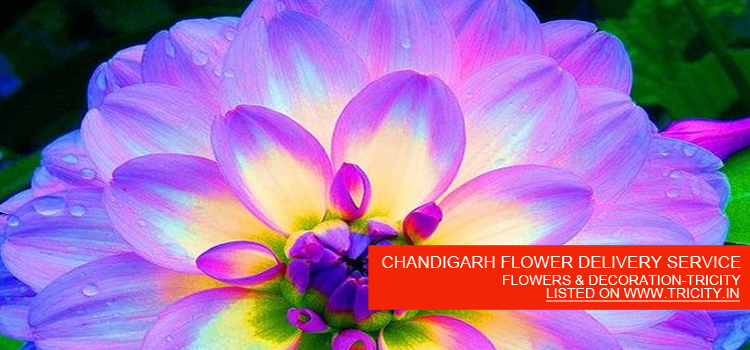 CHANDIGARH FLOWER DELIVERY SERVICE