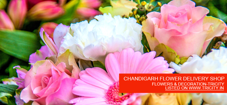 CHANDIGARH FLOWER DELIVERY SHOP