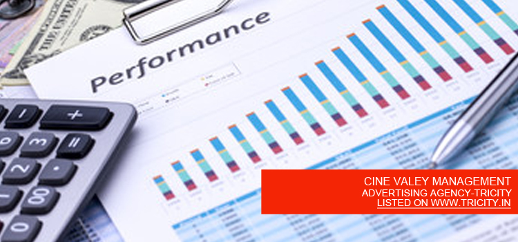 CINE VALEY MANAGEMENT