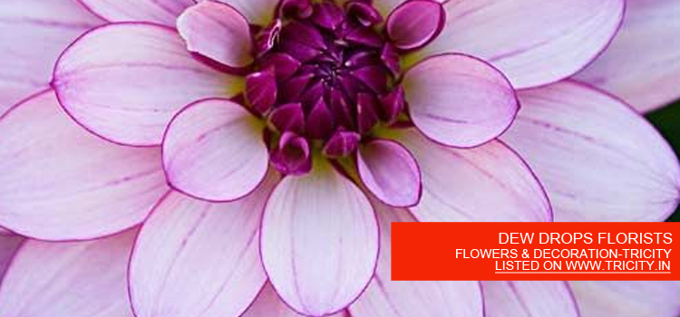 DEW-DROPS-FLORISTS