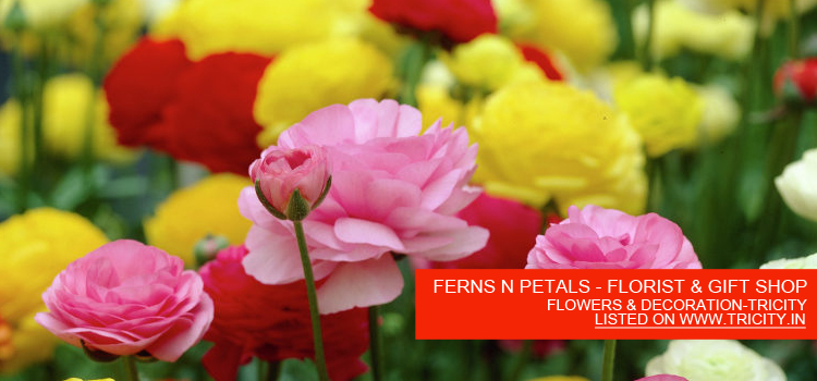 FERNS N PETALS - FLORIST & GIFT SHOP