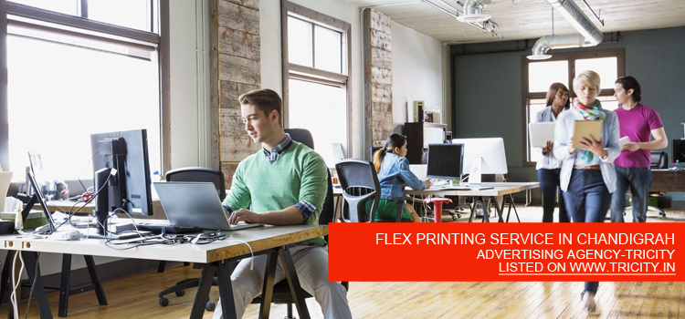 FLEX PRINTING SERVICE IN CHANDIGRAH