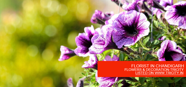 FLORIST IN CHANDIGARH