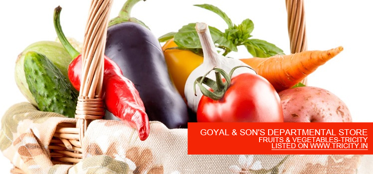 GOYAL & SON'S DEPARTMENTAL STORE