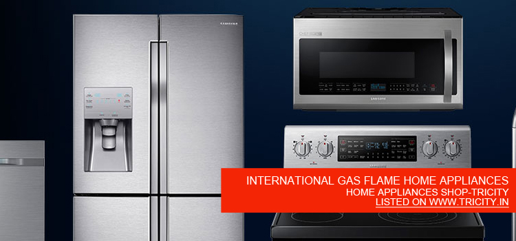 INTERNATIONAL GAS FLAME HOME APPLIANCES