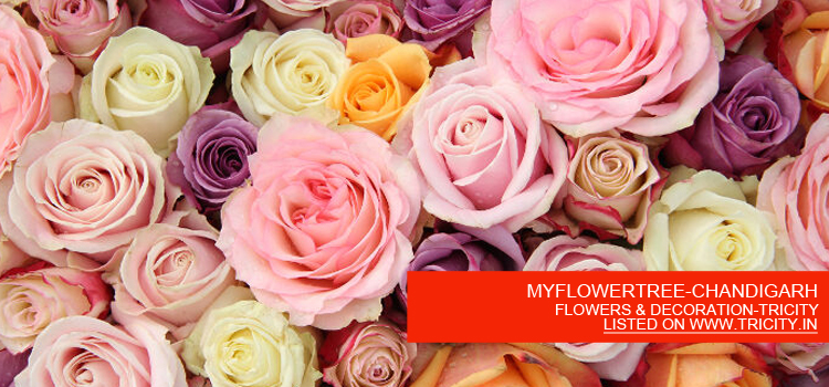 MYFLOWERTREE-CHANDIGARH