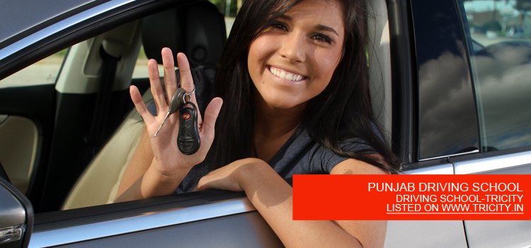 PUNJAB DRIVING SCHOOL