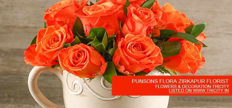 PUNSONS FLORA ZIRKAPUR FLORIST