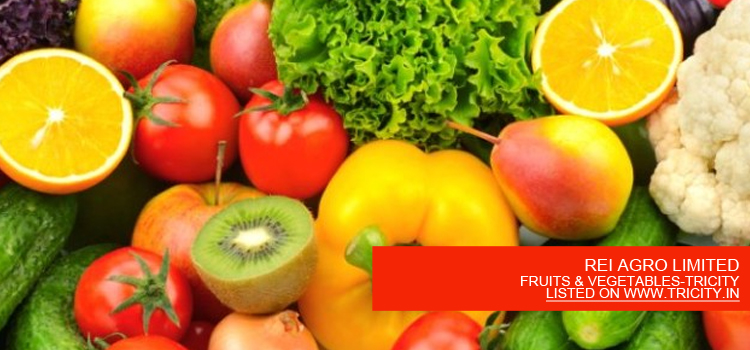 REI AGRO LIMITED