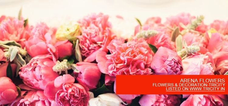 ARENA FLOWERS