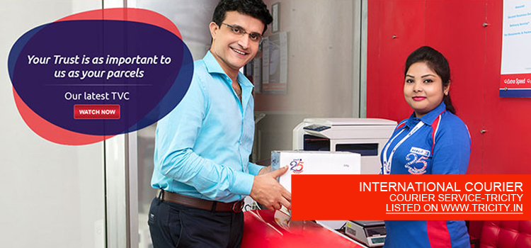 INTERNATIONAL COURIER