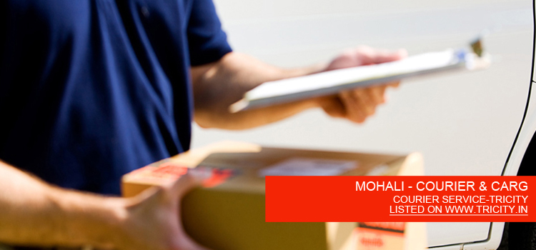 MOHALI - COURIER & CARG