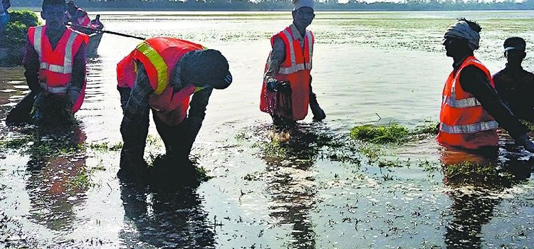 शहर-की-लाइफलाइन-‘सुखना‘-सूखने-के-कगार-पर,-देखें-कहां-तक-पहुंचा-पानी