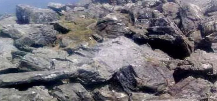 12 हज़ार फीट की ऊंचाई पर मौत को मात, चंद्रखणी टॉप से चार ट्रैकर किए रेस्क्यू