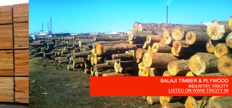 BALAJI TIMBER & PLYWOOD