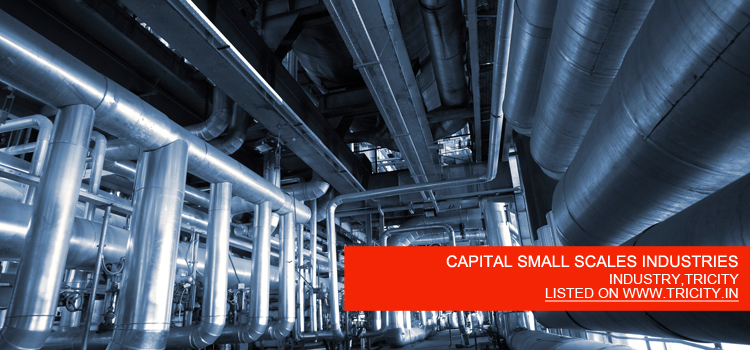 CAPITAL SMALL SCALES INDUSTRIES