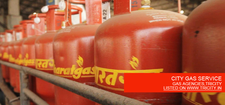 CITY GAS SERVICE