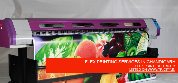FLEX PRINTING SERVICES IN CHANDIGARH