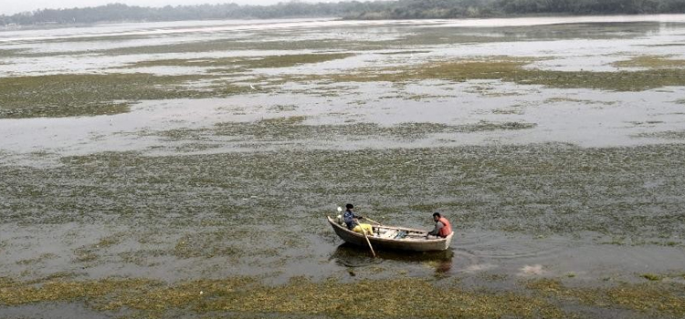 ऐसे तो उड़ जाएगा सारा पानी; विश्वास नहीं होता, ये अपनी सुखना है!
