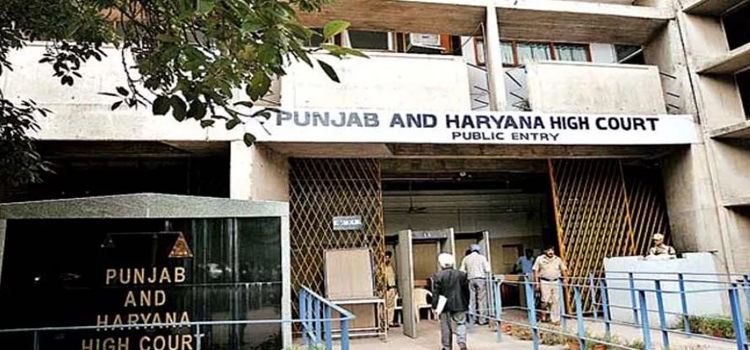 पंजाब-सरकार-को-हाईकोर्ट-की-फटकार,-कहा--पीयू-पर-दावा-जताते-हो,-ग्रांट-नहीं-बढ़ाते