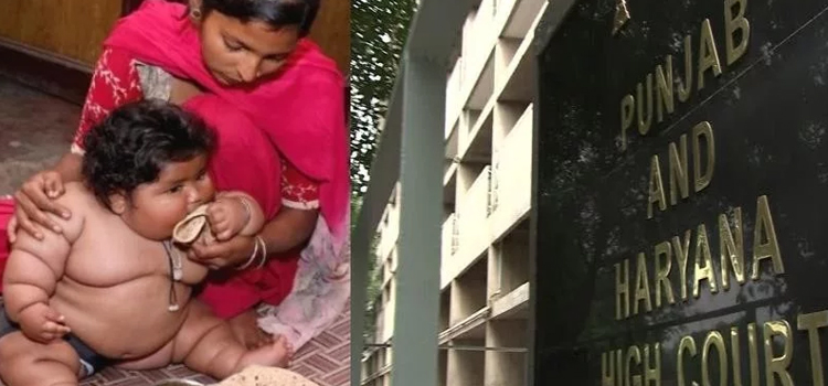 पंजाब-हरियाणा हाईकोर्ट ने केंद्र सरकार सहित अन्य सभी प्रतिवादी पक्षों को 12 जून के लिए नोटिस जारी