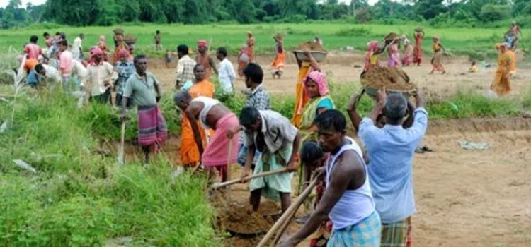 मनरेगा घोटाले में अब चार कार्यरत आईएएस अफसरों पर गाज गिरी