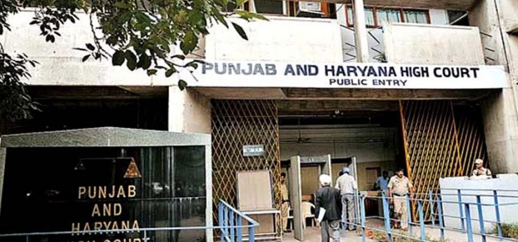 हाईकोर्ट ने पूछा-लोगों को क्यों काट रहे हैं स्ट्रे डॉग्स