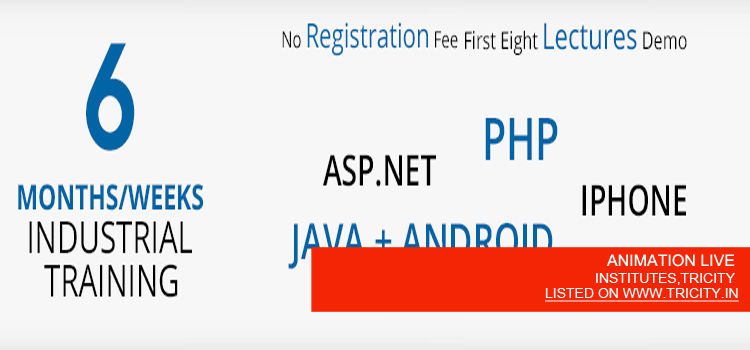 ANIMATION LIVE