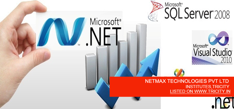 NETMAX TECHNOLOGIES PVT LTD