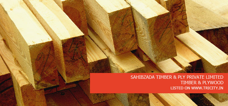 SAHIBZADA TIMBER & PLY PRIVATE LIMITED