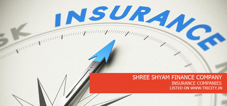SHREE SHYAM FINANCE COMPANY