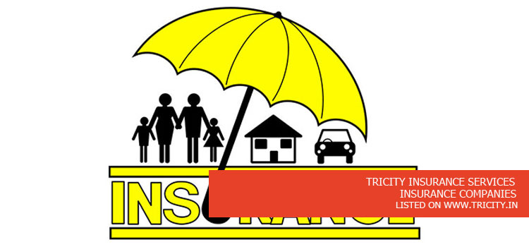 TRICITY INSURANCE SERVICES