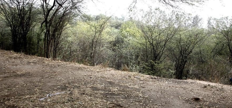 फिर-से-जिंदा-की-जा-सकती-है-लेक