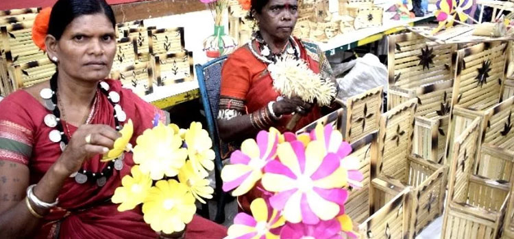 रायगढ़-के-रहने-वाले-मीनकेतन-बघेल-यहां-पर