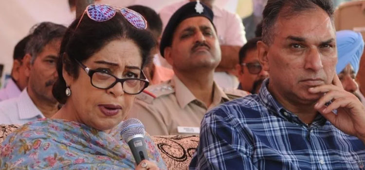 रेड-कारपेट-पर-स्ट्रे-डॉग्स