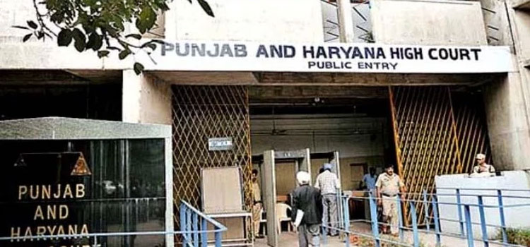 हाईकोर्ट ने कहा कि उन्हें ऐसा कोई कारण नजर