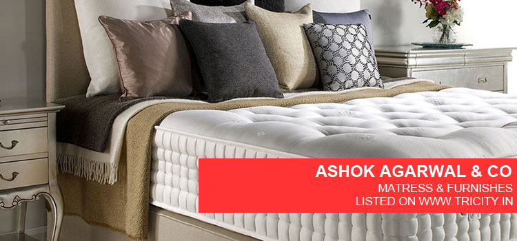 ASHOK AGARWAL & CO